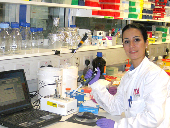 La Doctora Elena Castro Premio al Investigador Joven por la Prostate Cancer Foundation (PCF)