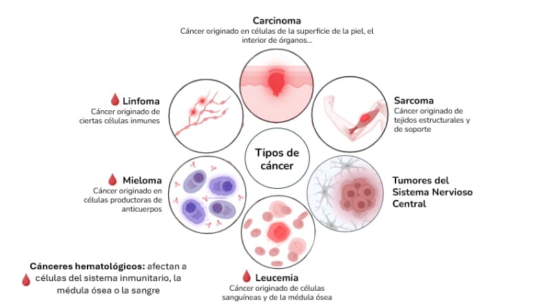 tipos de cáncer