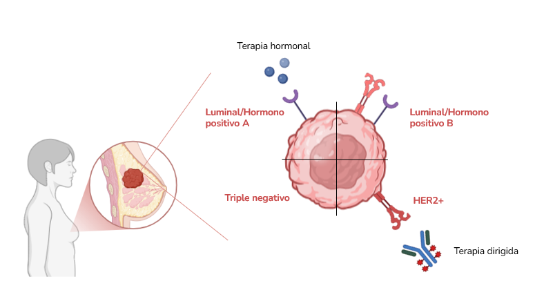tipos de cáncer
