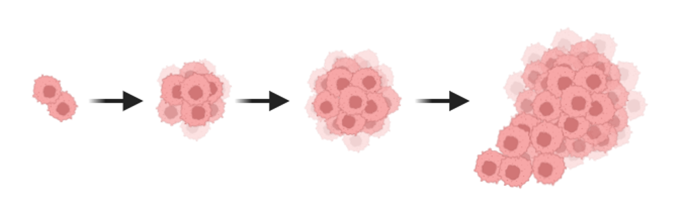 Células cancerosas o cancerígenas en constante división