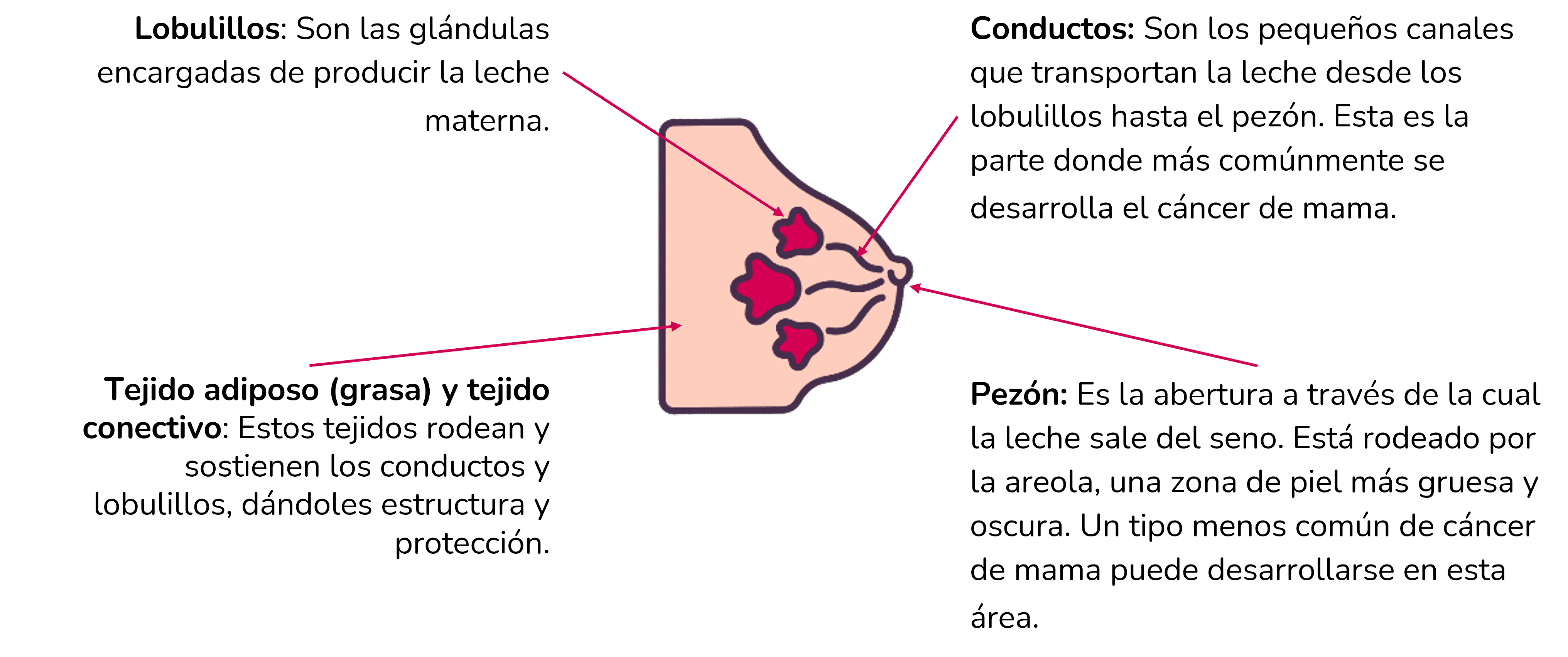 tipos de cáncer