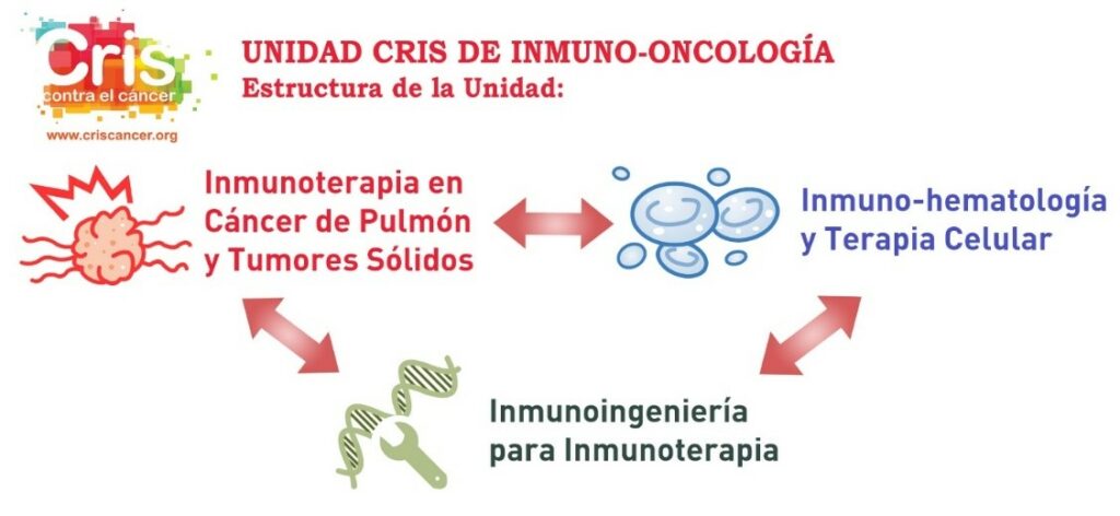 Diagrama, Escala de tiempo

Descripción generada automáticamente