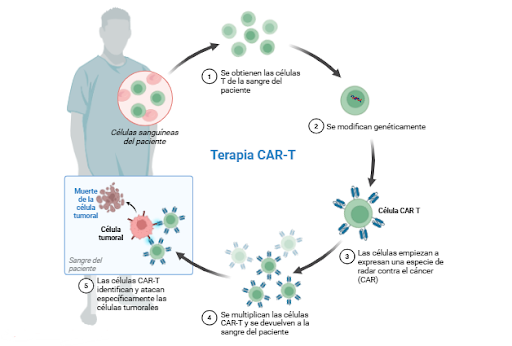 cancer infantil investigacion terapia cart