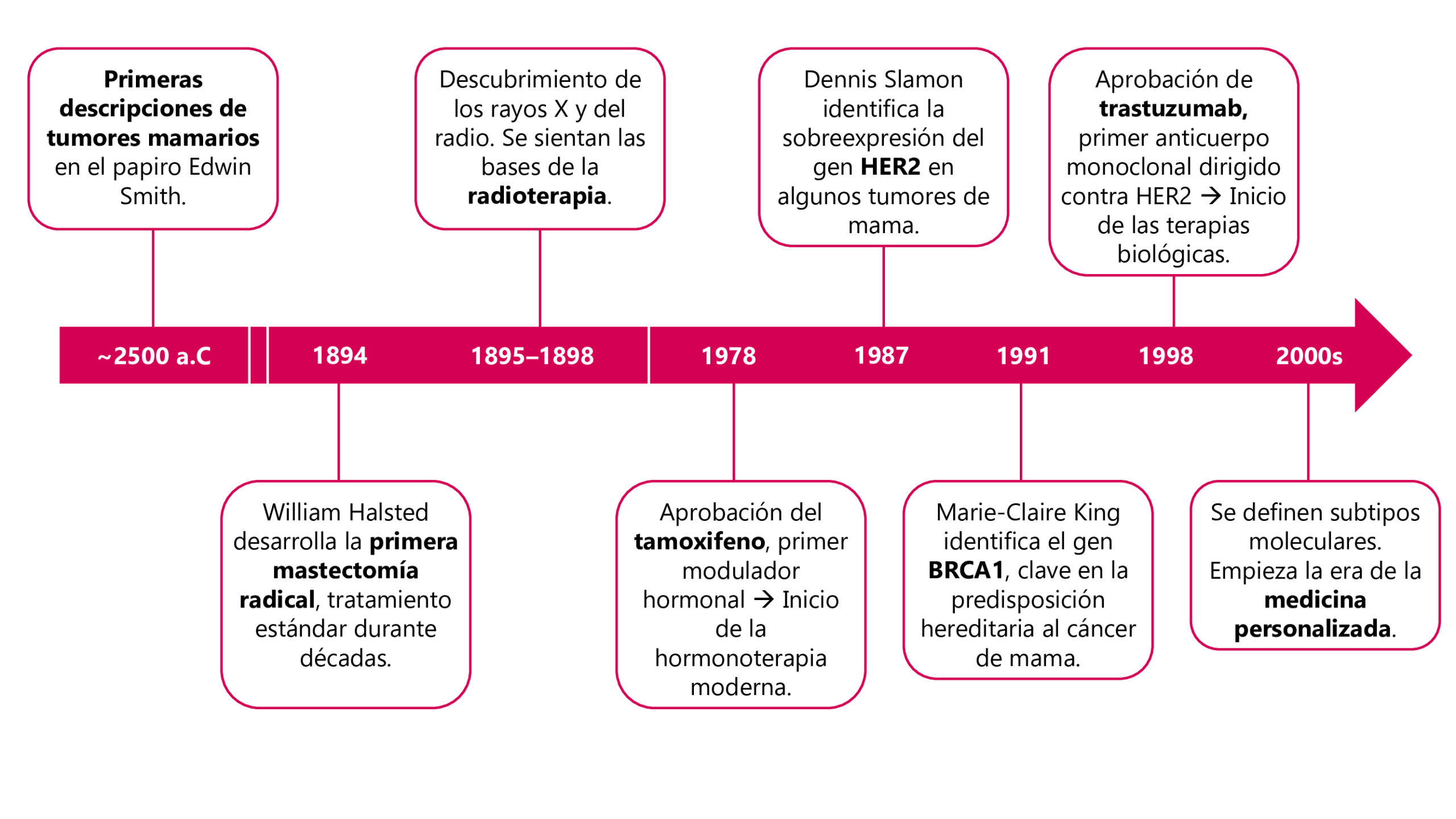 evolución investigación cancer de mama