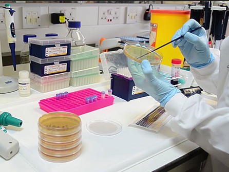 Recuperación inmunitaria