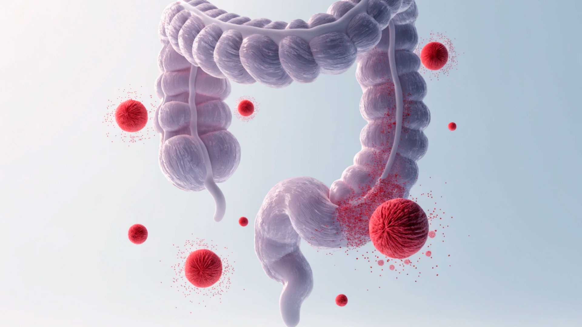 sangre oculta en heces causas y test
