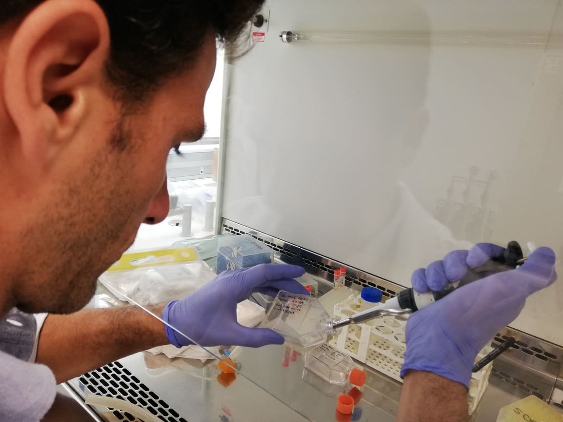 Día de la Investigacion - CRIS Contra el Cáncer